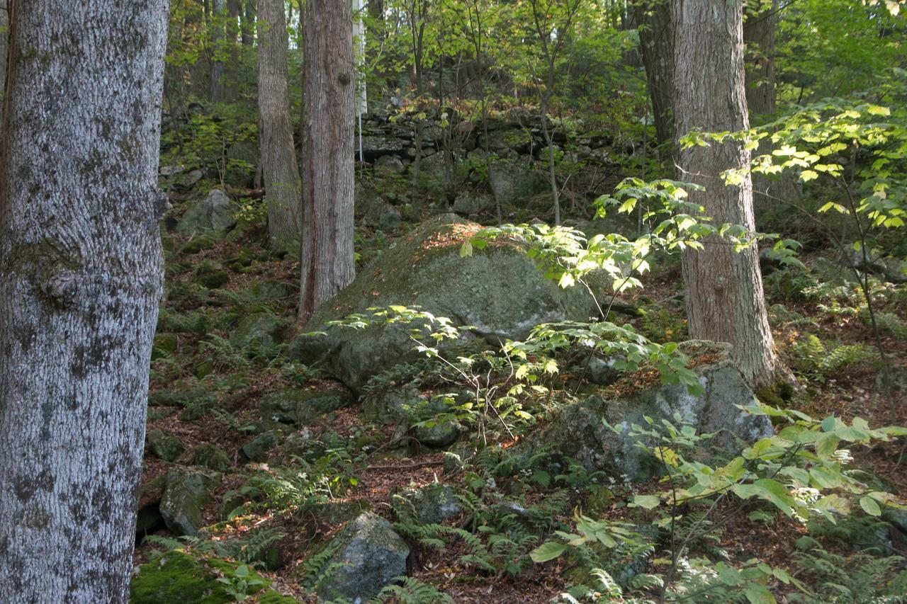 Mountain View Green Retreat Norfolk Экстерьер фото